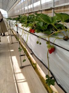 IMG20201229164337 - Raphael Wallah